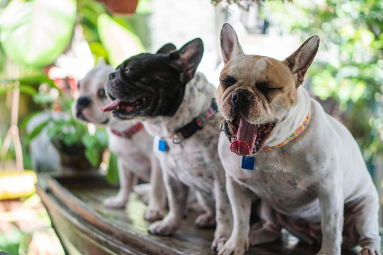 Sea Harmony Eco Lodge Hua Hin Dış mekan fotoğraf
